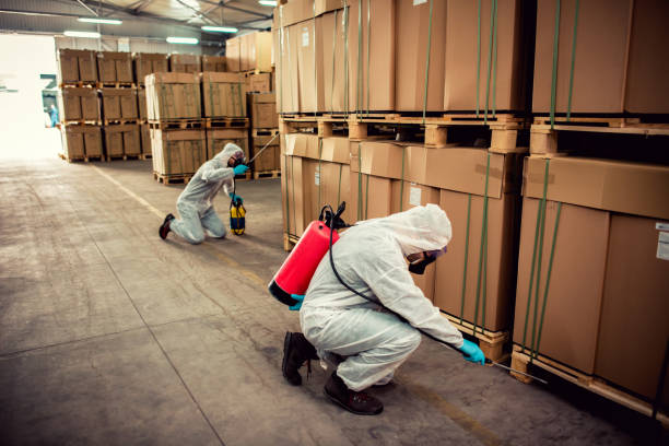 Best Affordable Pest Control Services  in Coffeyville, KS