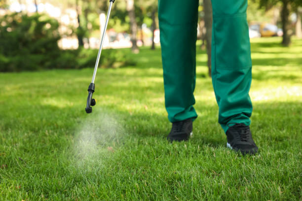 Best Termite Control Services  in Coffeyville, KS