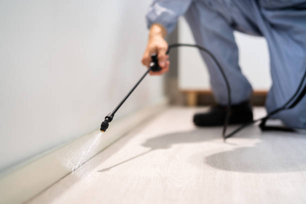 Best Mosquito Control Services  in Coffeyville, KS