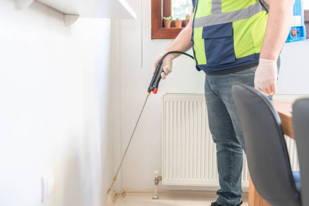 Best Wasp Removal Services  in Coffeyville, KS