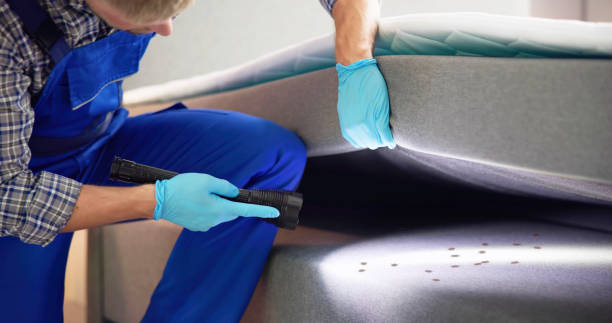 Best Residential Pest Control  in Coffeyville, KS
