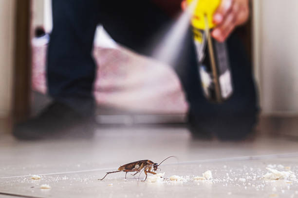 Best Termite Control Services  in Coffeyville, KS