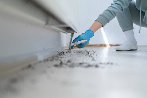 Best Termite Control Services  in Coffeyville, KS