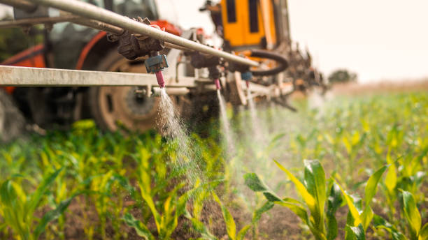 Best Best Pest Control Companies  in Coffeyville, KS
